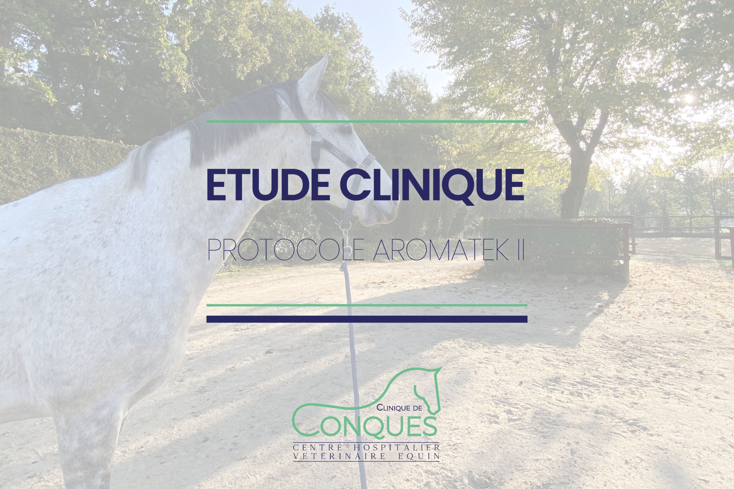 Etude Clinique - Aromatex